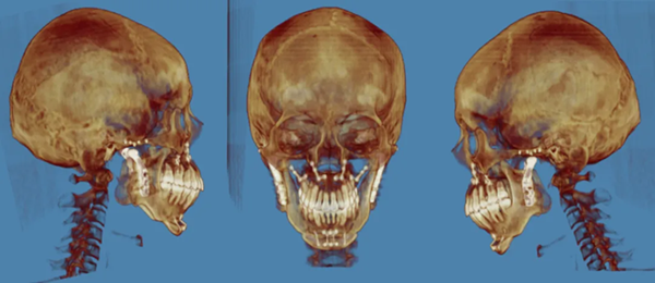 1 (5).png 1 (5).png